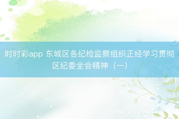 时时彩app 东城区各纪检监察组织正经学习贯彻区纪委全会精神（一）
