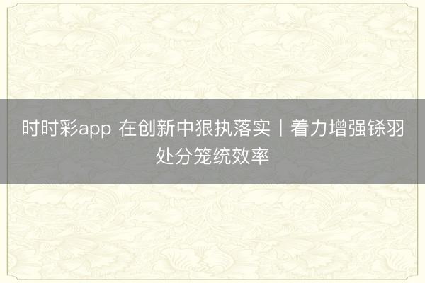 时时彩app 在创新中狠执落实丨着力增强铩羽处分笼统效率
